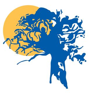 Baobab College's profile picture, influencer in zambia