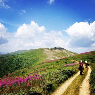 Bjelasica_Mountain's profile picture, influencer in montenegro