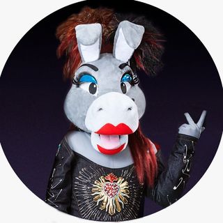 Burrita Burrona's profile picture, influencer in mexico