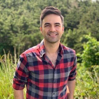 David Castro's profile picture, influencer in guatemala
