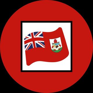 Future Leaders Bermuda's profile picture, influencer in bermuda