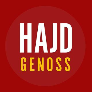 Hajdgenoss's profile picture, influencer in switzerland