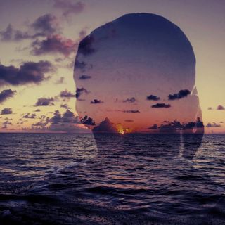 Bradley's profile picture, influencer in the-bahamas