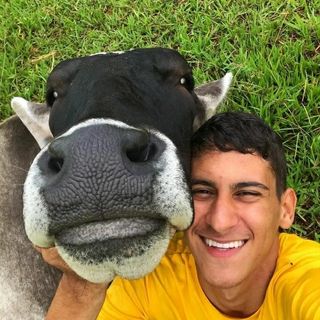 Junior Guerreiro's profile picture, influencer in brazil