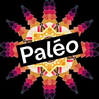 Paléo Festival Nyon's profile picture, influencer in switzerland