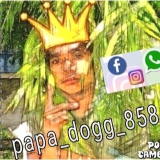papa__dogg_858's profile picture, influencer in papua-new-guinea