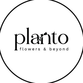 FLOWERS & BEYOND's profile picture, influencer in lebanon