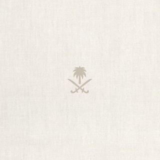Saudi pics's profile picture, influencer in saudi-arabia