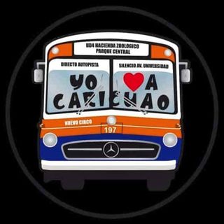 Soscaricuao's profile picture, influencer in venezuela