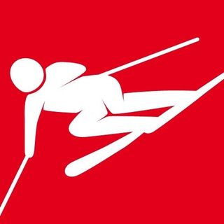 Swiss Ski Team's profile picture, influencer in switzerland